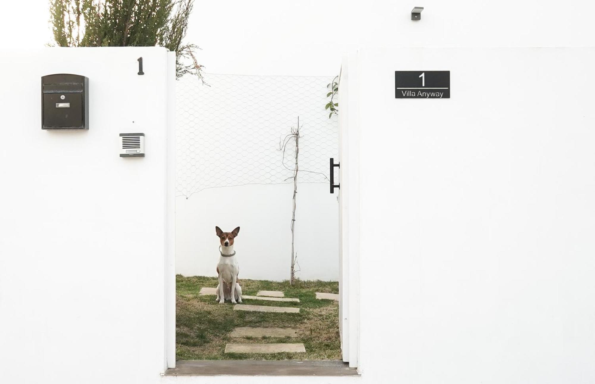Villa Anyway Conil Un Lujo Frente Al Mar Conil De La Frontera Exterior photo